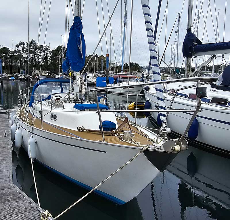 Rustler 31 for sale