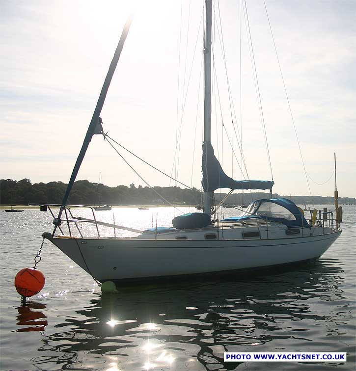 Contessa 32