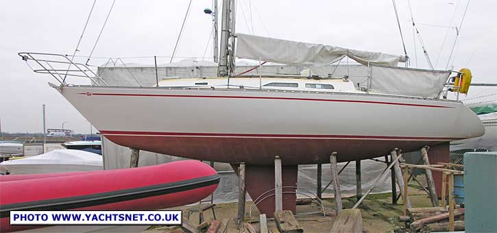 Contessa 33