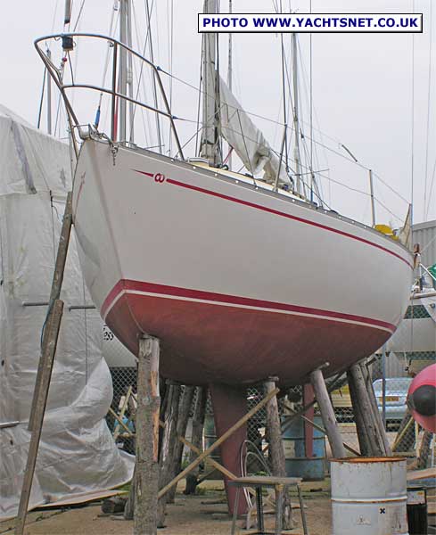 Contessa 33