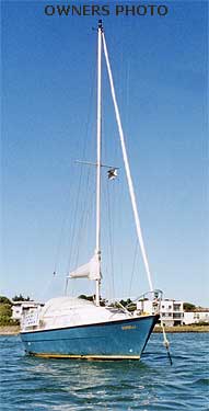 Sailfish 25