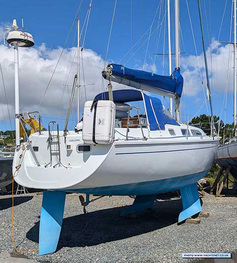 British Hunter Channel 31 for sale